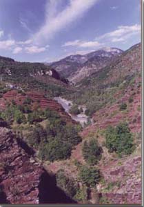 vue des gorges de Daluis